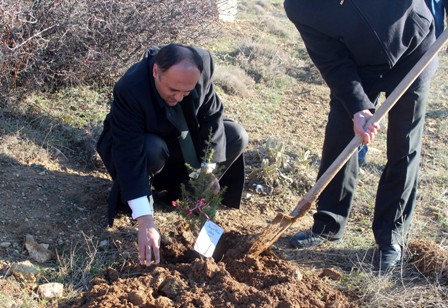 Plaket yerine orman fidanı