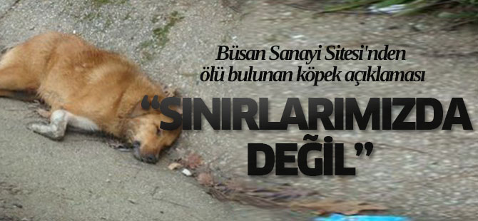 Büsan Sanayi Sitesi'nden Ölü Bulunan Köpek Açıklaması