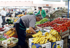 Ereğli'de meyvecilik kursu başladı