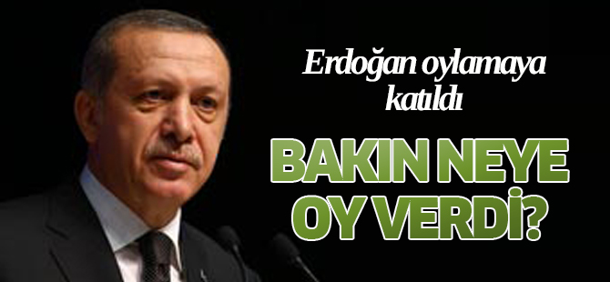 Erdoğan oyunu o fotoğrafa verdi!