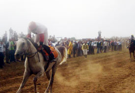 Beyşehir'de Rahvan at yarışları yapıldı