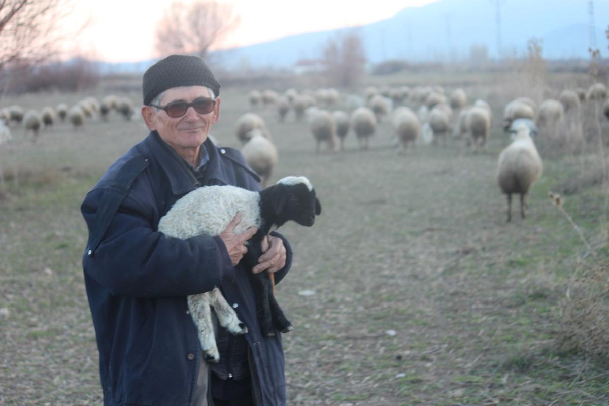 Bunlar da kış kuzuları