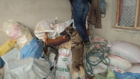 Jandarmadan uyuşturucu operasyonu