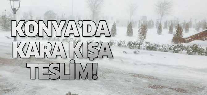 Konya'da kara kış kendini gösterdi