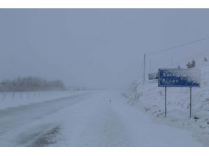 Yolda kalanlara yardım eden polise araç çarptı