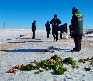 Yaban hayvanlarına yem bırakıldı