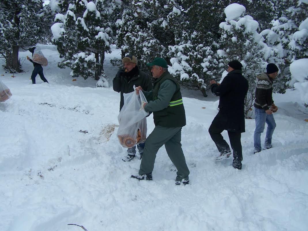 Dağdaki hayvanlar unutulmadı