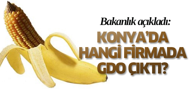 Konya'da hangi firmada GDO çıktı?