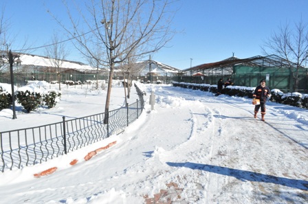 2014'te155 bin ziyaretçi gezdi