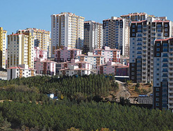 Maliye affetmiyor: Yalan beyanda bulunan yandı