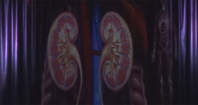 Eğitimde çığır açacak teknoloji