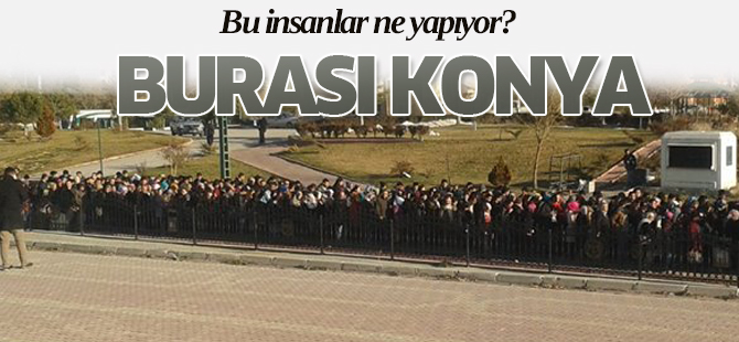 Bu insanlar ne yapıyor?