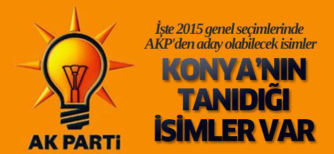 İşte 2015 genel seçimlerinde AKP'den aday olabilecek isimler