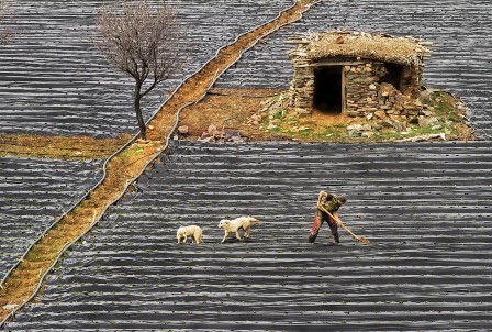 Konyalı’dan bir başarı daha
