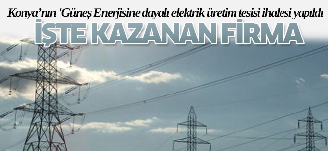 TEİAŞ İhalesini Zorlu Enerji Kazandı
