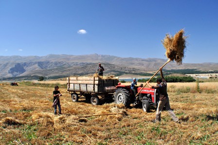 Traktörde fazla artış Konya'da