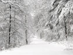 Dikkat! Kar geri geliyor!