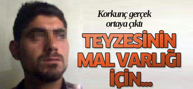 Kiralık Katil Tutup Teyzesini ve Kocasını Öldürtmüş