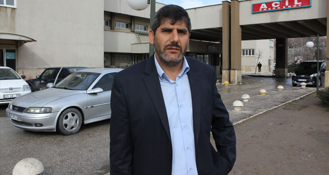 Şehre inen kurtlar yaşlı karı kocayı yaraladı