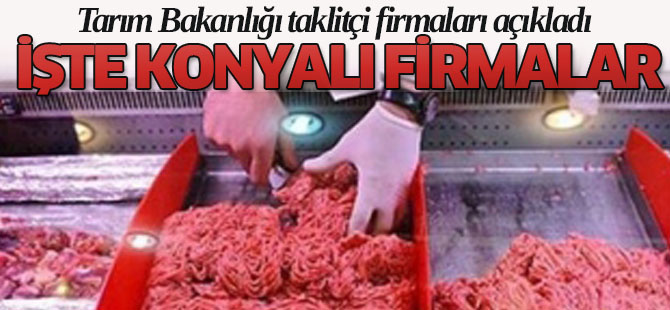 Bakanlık taklit eden  firmaları açıkladı