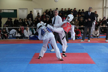 Okullararası Taekwondo İl Birincileri Belli Oldu