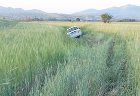 Otomobil tarlaya girdi