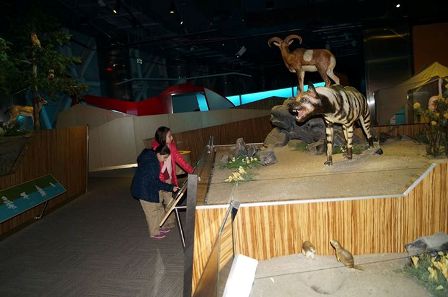 Lale öğrencileri Fen bilgisi dersini bilim merkezinde yaptı