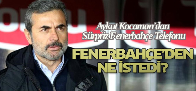 Aykut Kocaman Fenerbahçe'den ne istedi?