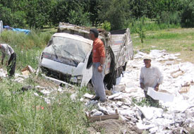 Balık yüklü kamyon devrildi