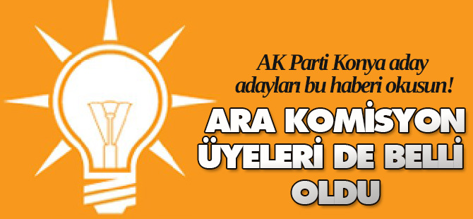 Ara komisyon üyeleri de belli oldu