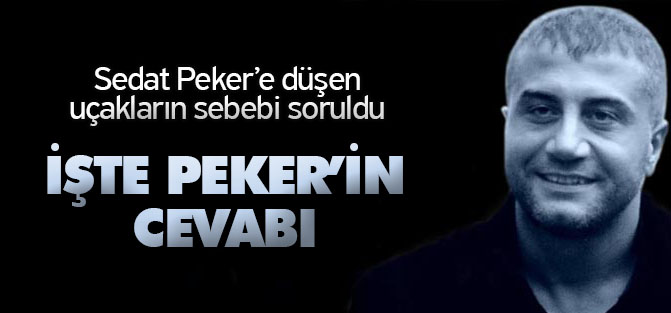 Sedat Peker: Uçaklar Bilgisayar Programlarıyla Düşürülebilir