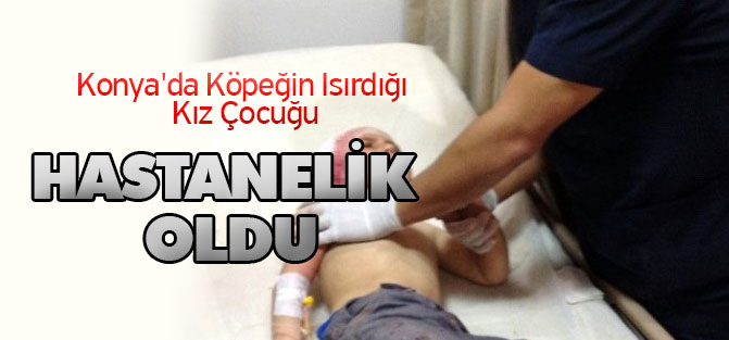 Konya'da Köpeğin Isırdığı Kız Çocuğu Hastanelik Oldu