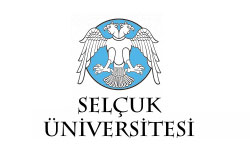 Turizm dil sertifikası imkanı