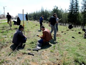 Yükümlüler fidan dikti