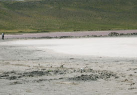 Meke Gölü'nde adacıklar oluştu