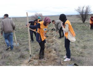 Çanakkale şehitleri anısına fidan dikildi