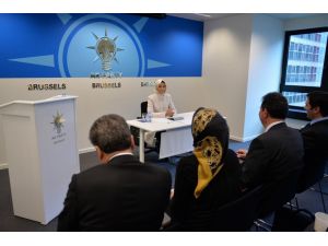 AK Parti Brüksel Siyaset Akademisi