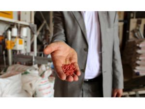 Köyüne tesis kurdu, Avrupa'ya tohum ihraç ediyor