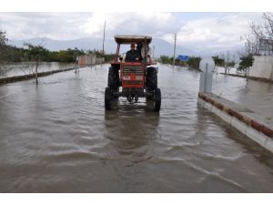 Aydın'da barajın dolması taşkına neden oldu