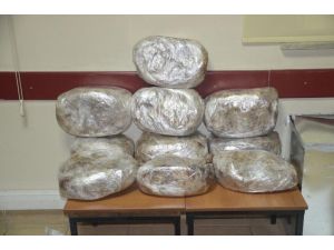 Çeyiz sandığından uyuşturucu çıktı