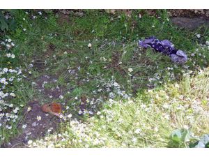 Pencereden düşen 8 aylık hamile kadın hayatını kaybetti