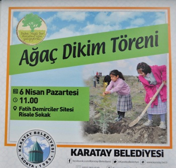 Ağaçlar toprakla buluşacak
