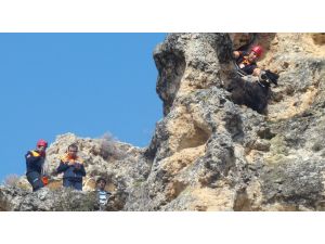 Uşak'ta keçi kurtarma operasyonu