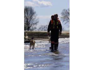 Taşkın nedeniyle aç kalan sokak hayvanlarına destek