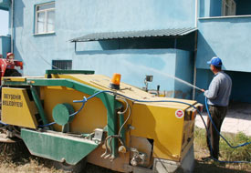 Beyşehir'de tırtıl istilası