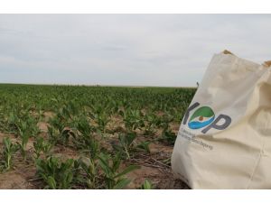 "KOP TEYAP Raporu" yayımlandı