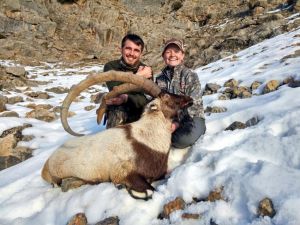 Aladağlar'da dağ keçisi avına yabancı ilgisi