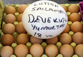 Devekuşu yumurtası pazar tezgahlarında