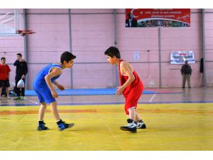 Serbest Güreş İl Birinciliği Müsabakaları