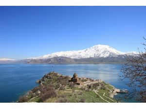 "İstilacı tavşanlar" sürgünde